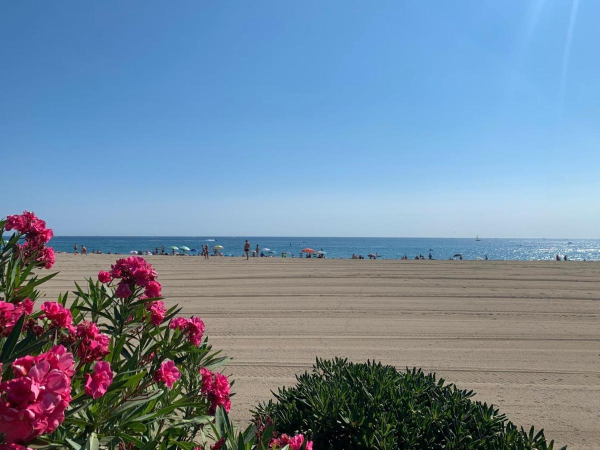 Superbe Appartement Neuf Entre Mer Et Pins Wifi Аржель-сюр-Мер Экстерьер фото